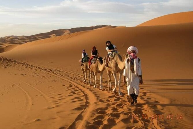 Standard trip in 1 night / 2 days from fez to merzouga - marrakech or back with same transportation fez - Azrou cedar forest and the Barbary macaques
