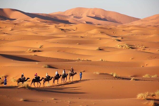 Standard trip in 1 night / 2 days from fez to merzouga - marrakech or back with same transportation fez - Morning pickup in Fez