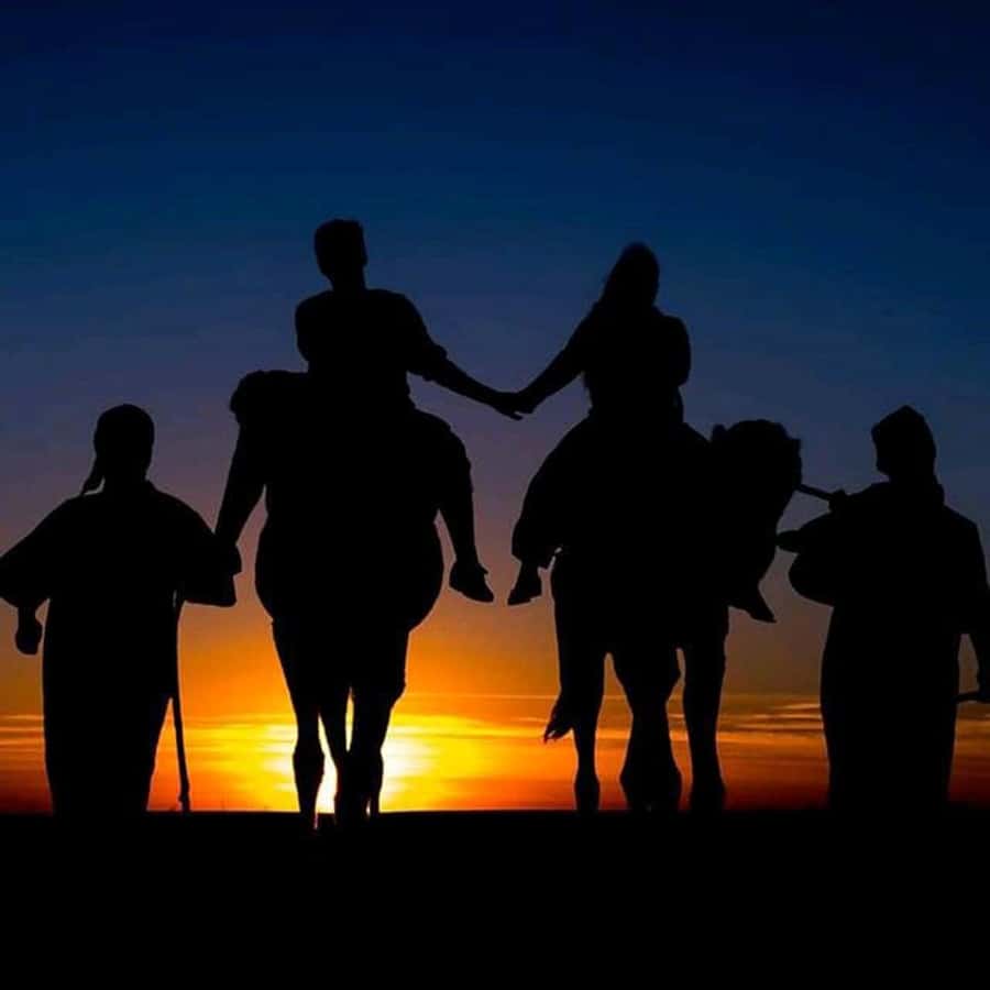 Sun set camel ride in palmerai of Marrakesh - Key points to know before booking