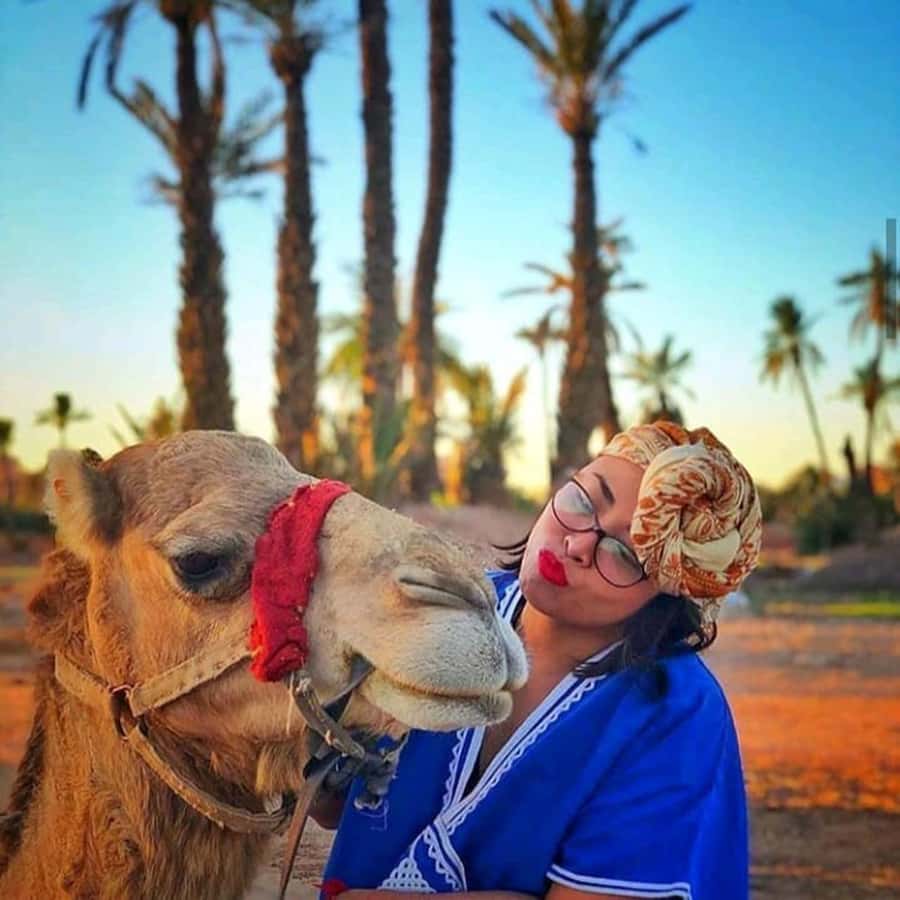 Sun set camel ride in palmerai of Marrakesh - What the two-hour schedule really includes