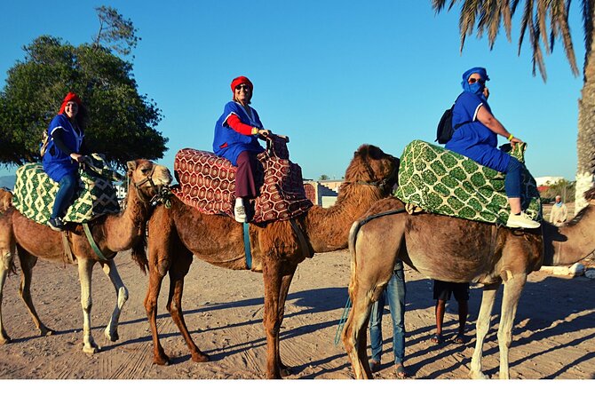 Sunset camel ride and barbecue dinner in Agadir - From your Agadir hotel to the ranch