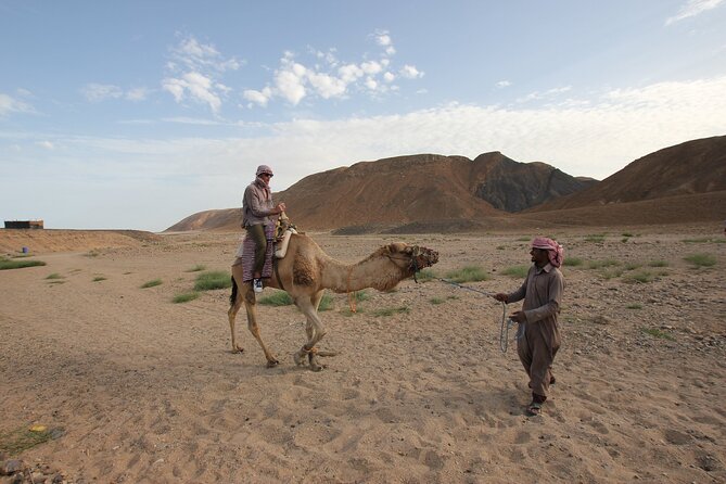 Sunset Camel Ride in Agadir or Taghazout With Transfers - Moroccan mint tea at the ranch