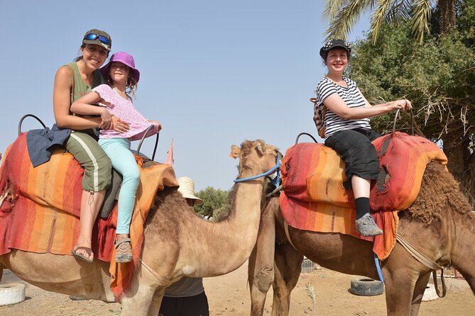 Sunset Camel Ride in Agadir or Taghazout With Transfers - Camels, handling, and animal welfare