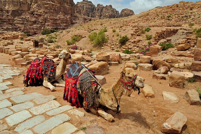 Sunset Camel Ride in Agadir or Taghazout With Transfers - Sunset light, photos, and the reality of the route