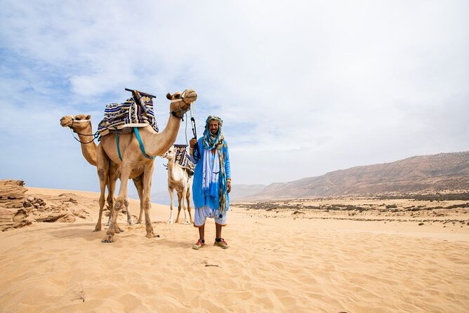 Sunset Camel Ride in Agadir with Dinner in Habitant House - A Sunset Ride Beyond Agadir’s Hotels