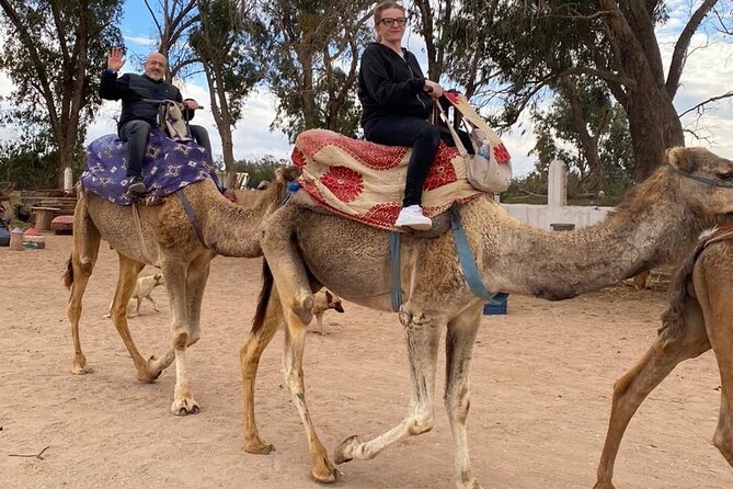 Sunset Camel Ride in Agadir with Dinner in Habitant House - Final Verdict: A Good Evening Trip From Agadir