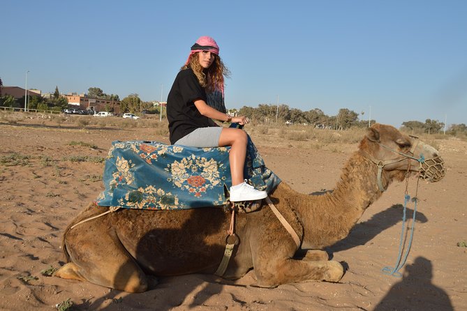 Sunset camel ride in Agadir with transport, tea and cakes. - What the $41.87 price really covers