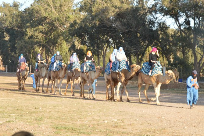 Sunset camel ride in Agadir with transport, tea and cakes. - From your hotel to the ranch in about ten minutes