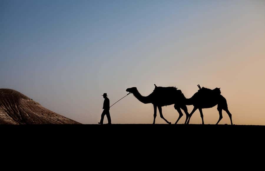 Sunset Camel Ride in Agafay Desert with dinner and pool - Leaving Marrakech for the rocky Agafay Desert