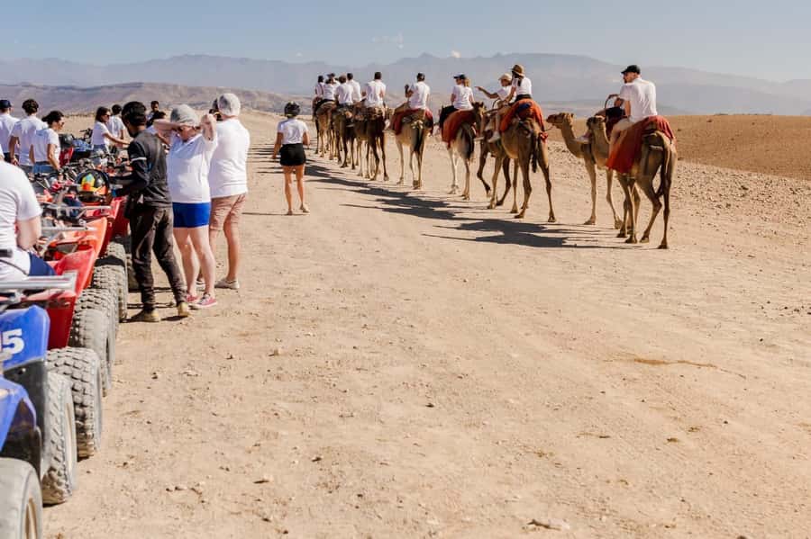 Sunset Camel Ride in Agafay Desert with dinner and pool - Meeting the camels and starting the ride