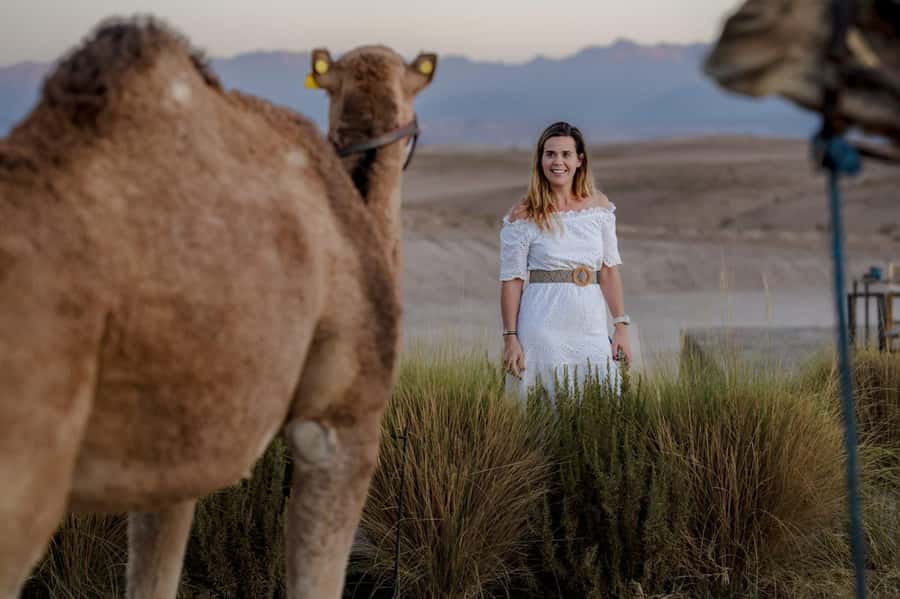 Sunset Camel Ride in Agafay Desert with dinner and pool - Mint tea, dinner, music, and dancing