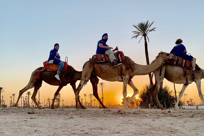 Sunset Camel Ride in the Palm Grove of Marrakech - A Gentle Evening Away From Marrakech