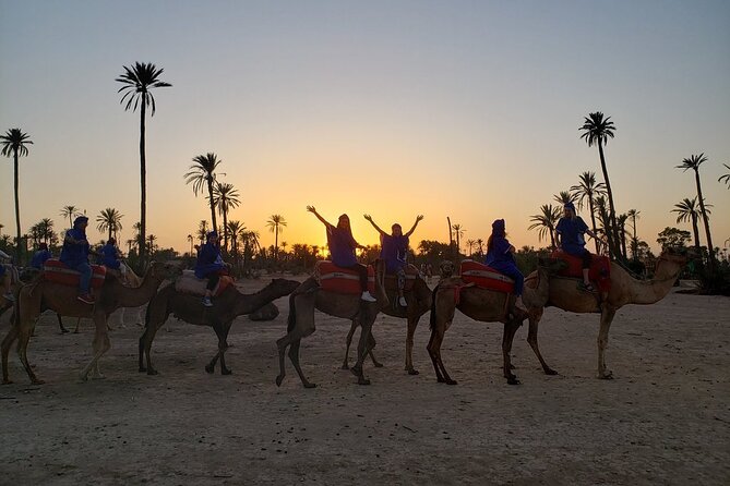 Sunset Camel Ride in the Palm Grove of Marrakech - Hotel Pickup and the Drive to the Palmeraie