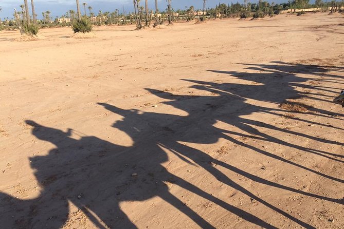 Sunset Camel Ride in the Palm Grove of Marrakech - Timing, Clothing, and Cancellation Details