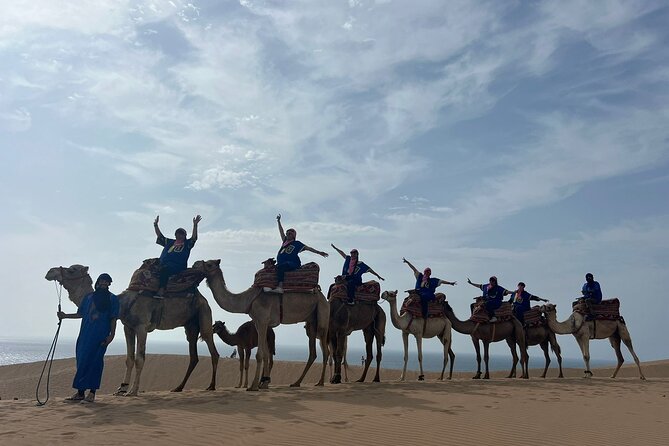 Sunset Camel Ride tour with Barbecue dinner in the beach - Key points to know before booking