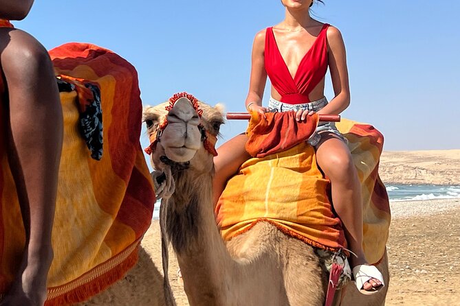 Sunset Camel Ride tour with Barbecue dinner in the beach - Moroccan salad, barbecue, and tea at the ranch