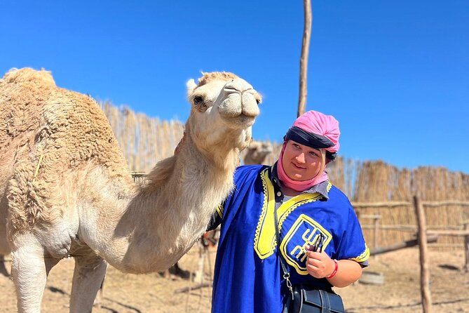 Sunset Camel Ride tour with Barbecue dinner in the beach - Practical advice for a smoother ride