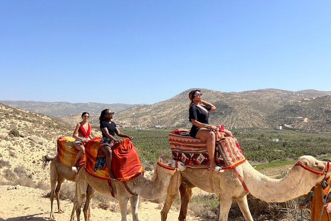 Sunset Camel Ride tour with Barbecue dinner in the beach - Through banana fields and beside the Tamri river