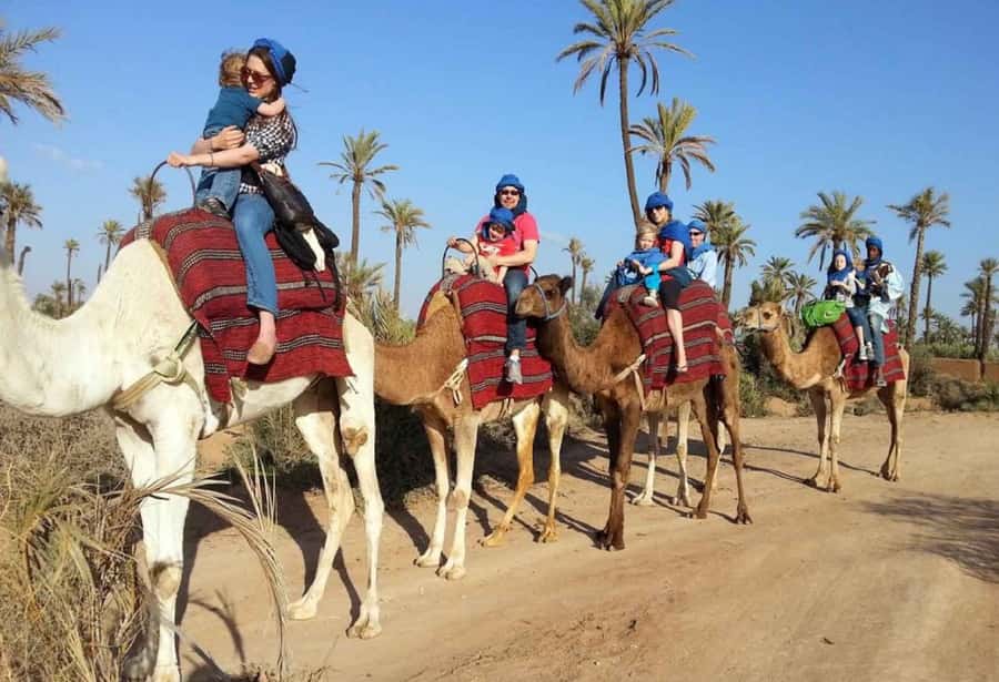Sunset Camel Riding Including BBQ Dinner & Hotel Transfers - A sunset ride beside the Souss River
