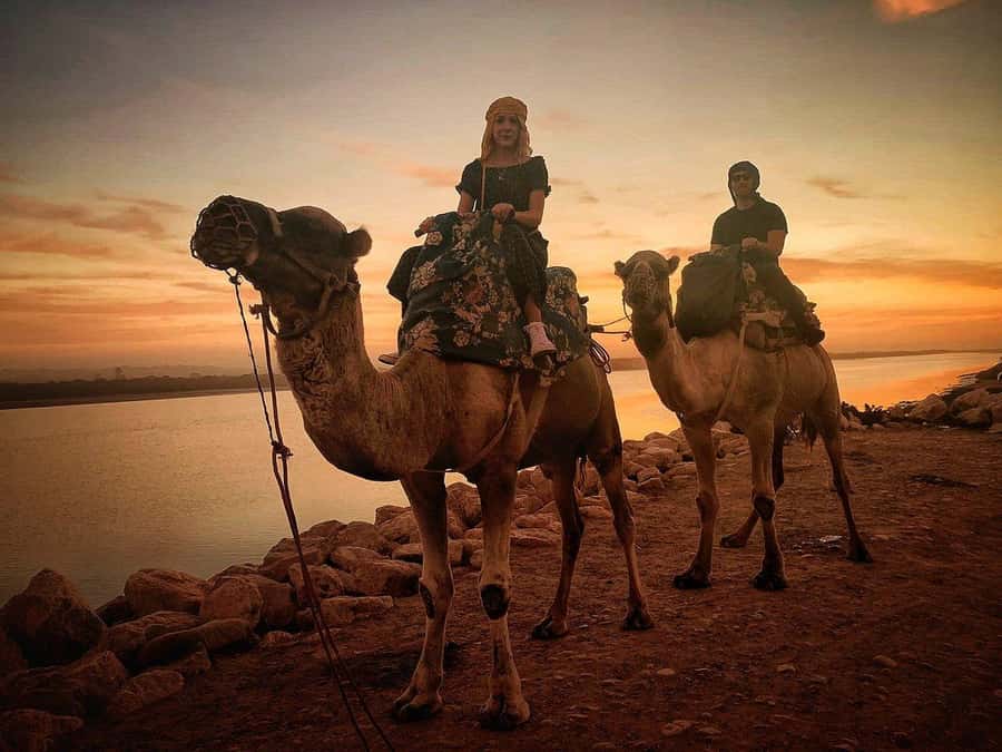 Sunset Camel Riding Including BBQ Dinner & Hotel Transfers - What dinner really includes