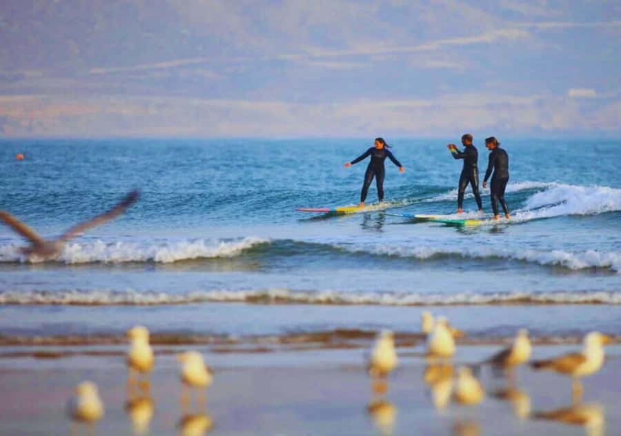 Surf Training and Lunch on Essaouira Day Trip from Marrakech - What the $70 price really buys you
