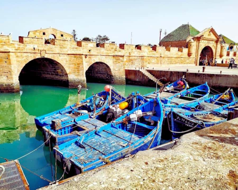 Surf Training and Lunch on Essaouira Day Trip from Marrakech - Who should book this day trip
