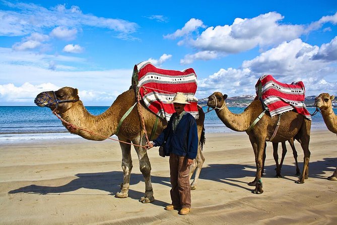 Tangier 3 Hours Sightseeing & Camel ride - A short coastal route from Tangier