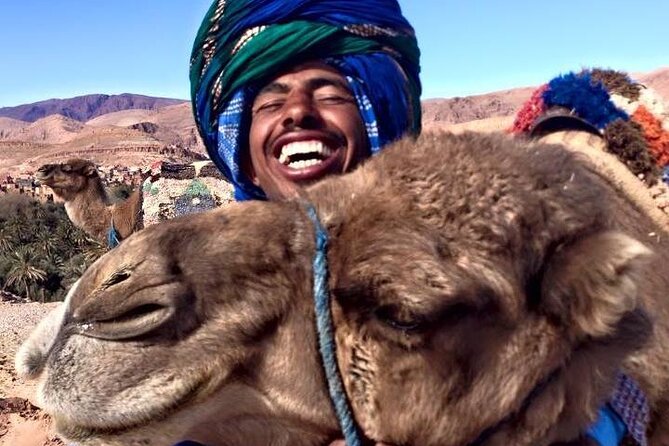 Tangier 3 Hours Sightseeing & Camel ride - Perdicaris Park and the first coastal views