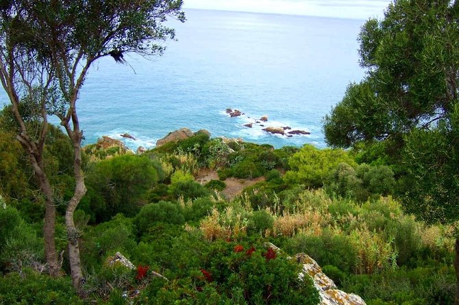 Tangier 3 Hours Sightseeing & Camel ride - Driver, guide, and language expectations