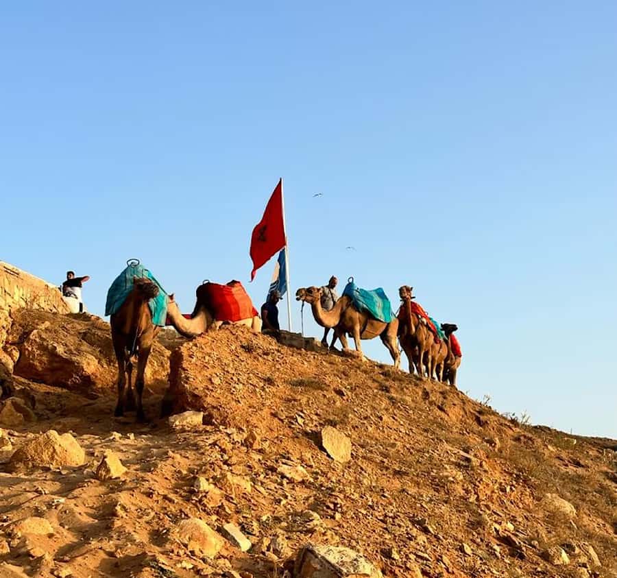 Tangier: Achakar Beach Sunset Camel Ride & Moroccan Dinner - Key points to know before booking