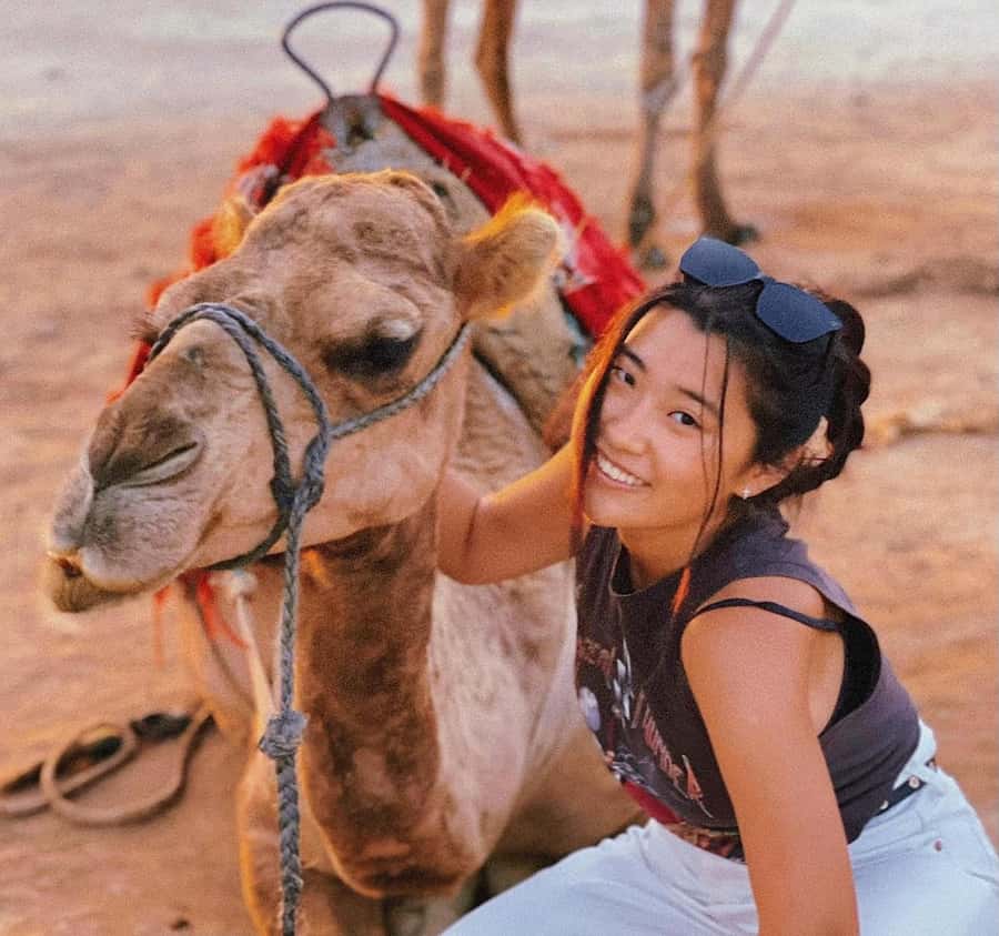 Tangier: Achakar Beach Sunset Camel Ride & Moroccan Dinner - Why the Achakar sunset ride is the centerpiece
