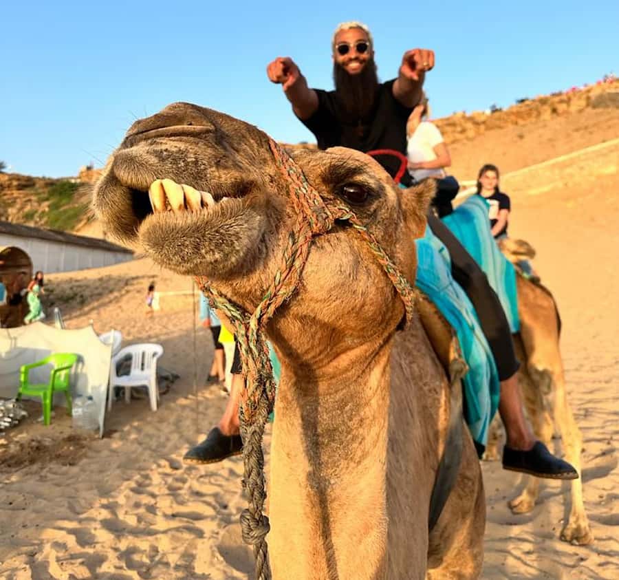 Tangier: Achakar Beach Sunset Camel Ride & Moroccan Dinner - What the camel ride is really like