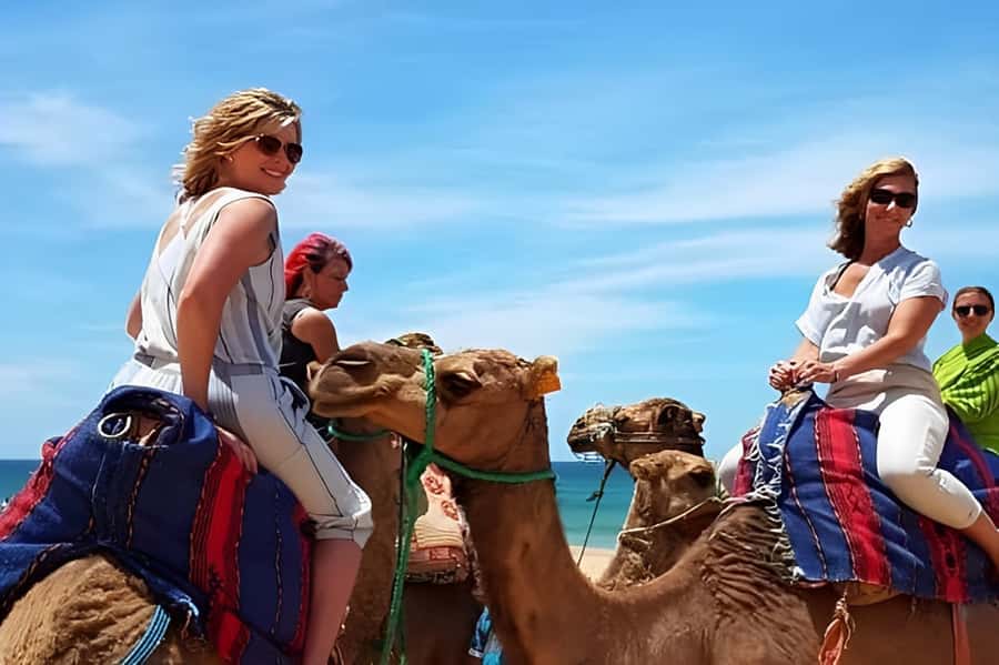 Tangier: Full-Day Private Sightseeing Tour with Camel Ride - Perdicaris Park and the Road Back to Tangier