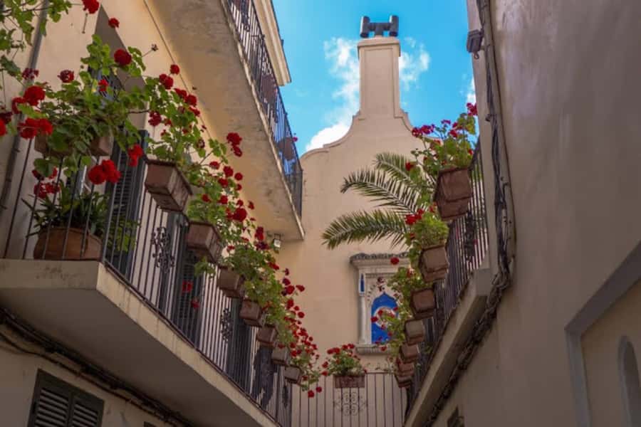Tangier Half-Day Guided City Tour - The short city stops before the old center