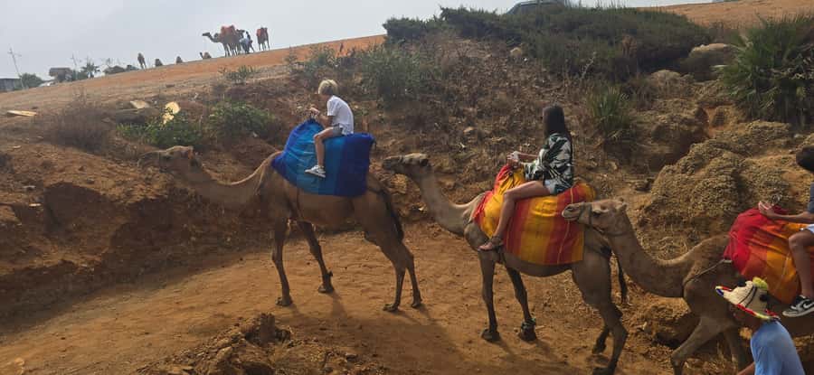 Tangier Private Tour: Explore And Camel Ride Adventure - Camel riding at Achakkar Beach
