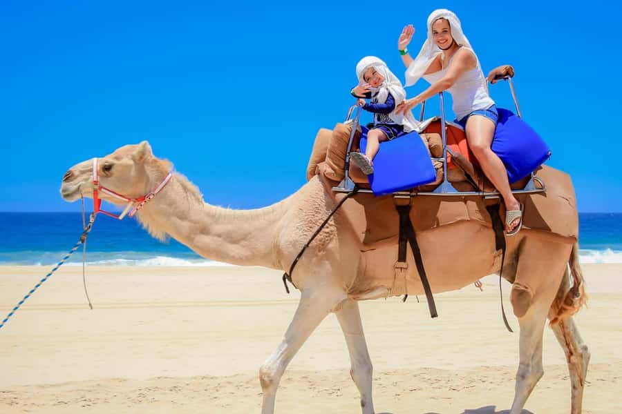 Tangier: sunset, tea, camel ride, Cape Spartel and caves. - How much value do you get for $45?