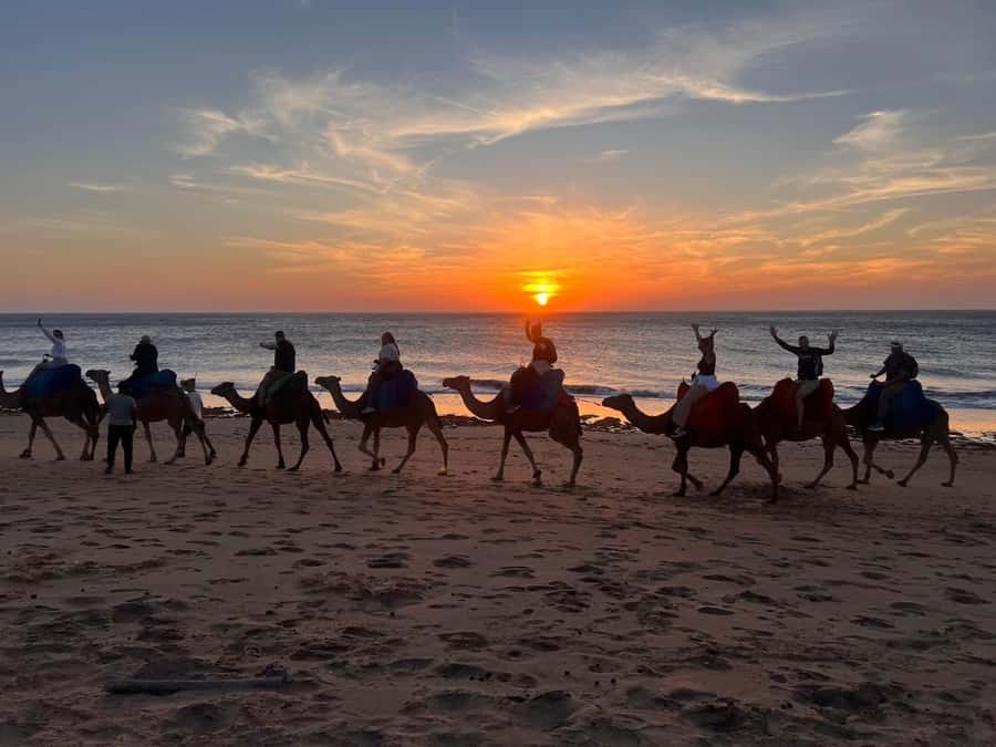 Tangier: Sunset, Tea, Sweets, Camel Ride, and Hercules Caves - Mint tea, date pastries, and Bouhindiya cafe