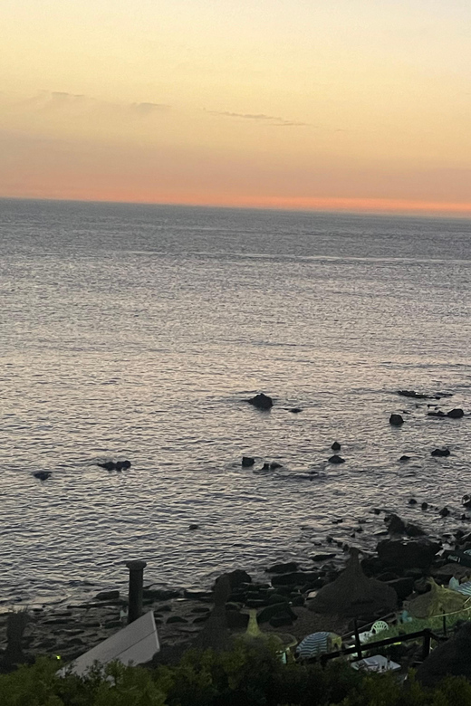 Tangier: Sunset, Tea, Sweets, Camel Ride, and Hercules Caves - Who will enjoy this Tangier experience most