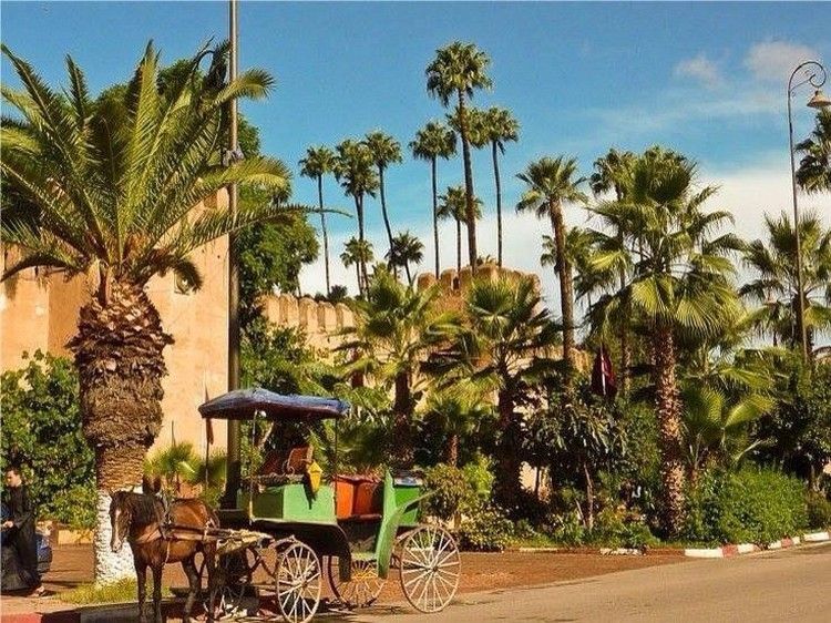 Taroudant and Tiout Oasis Trip With Lunch - Taroudant, Morocco’s smaller walled town