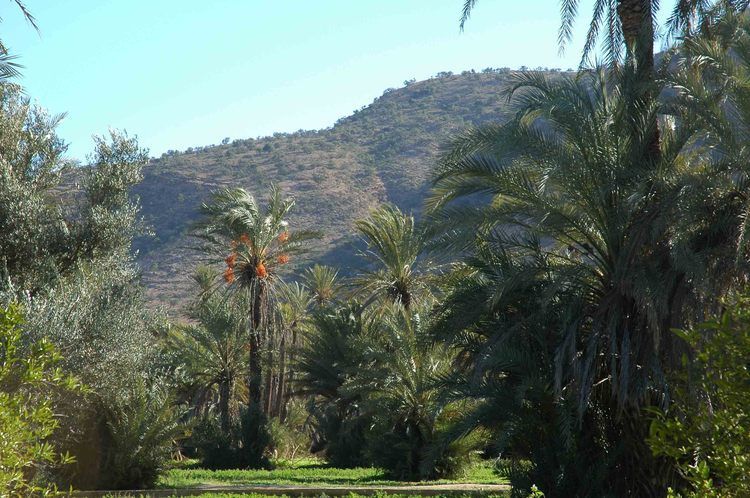 Taroudant and Tiout Oasis Trip With Lunch - The road through the Souss Valley