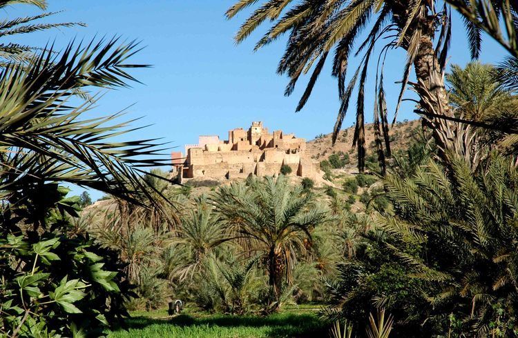 Taroudant and Tiout Oasis Trip With Lunch - Should you book Taroudant and Tiout?