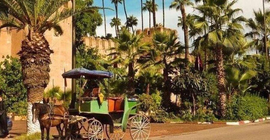 Taroudant and Tiout Oasis Trip With Lunch - Seeing the souks without losing your day