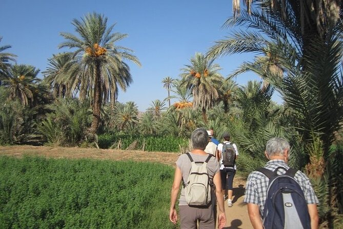 Taroudant & Tiout Day Trip Tour - What the $47.12 price really covers