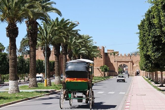 Taroudant & Tiout Day Trip Tour - Tiout Oasis and the Anti-Atlas foothills