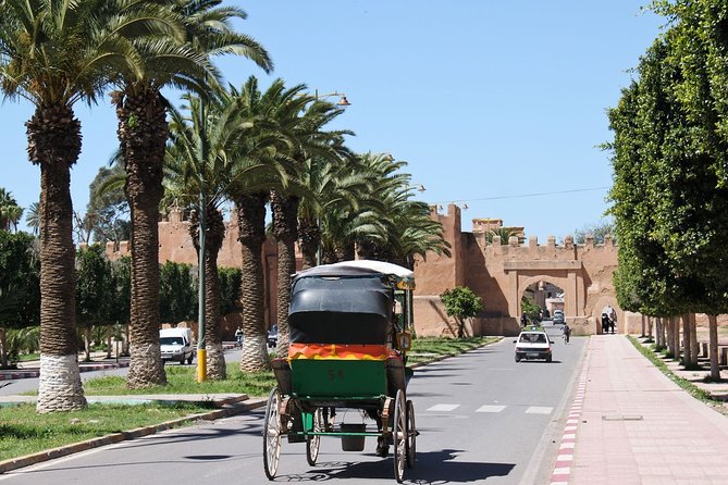 Taroudant + Tiout excursion 1 day with homestay lunch from agadir - Guide quality and language questions