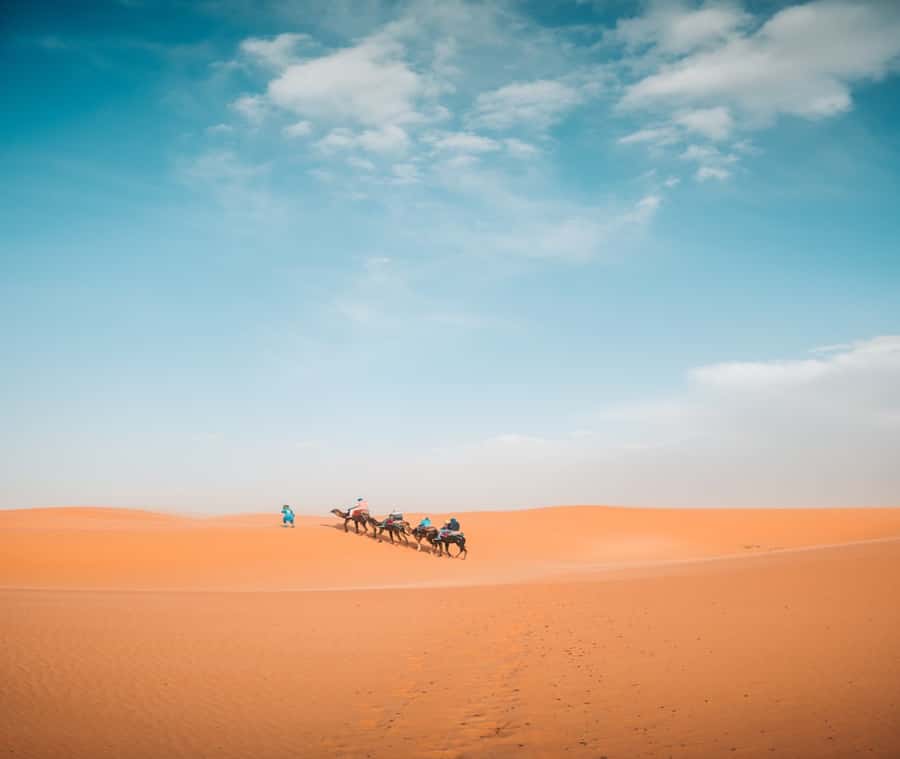 the luxury 2days 1night desert tour from fez to fez/marakech - Key points to know before booking