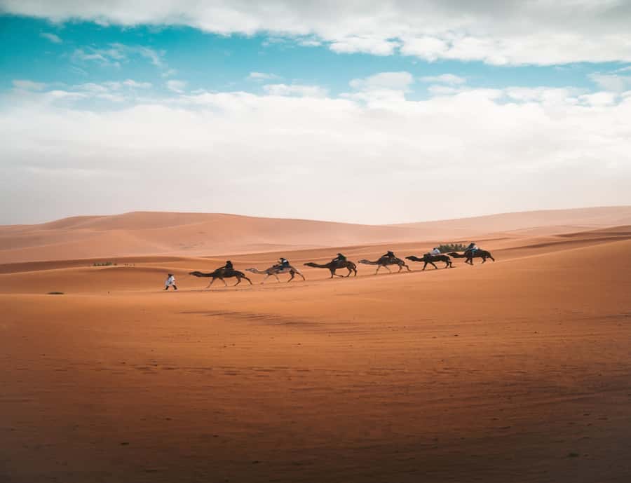 the luxury 2days 1night desert tour from fez to fez/marakech - Fez or Marrakesh: a useful choice