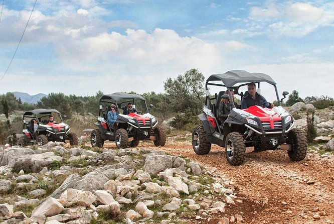 Top Packages Activities Discover Agadir and Morroco ® - Understanding the $184.29 price