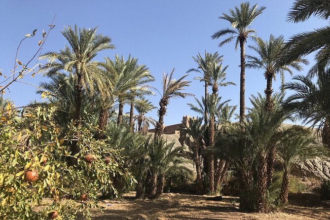 Tour from Ouarzazate to Vallee Du Draa and Dunes Of Tinfou - Guides, language, and the private format