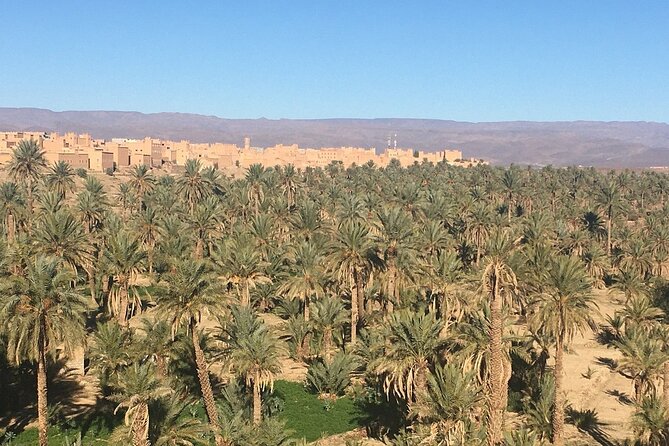 Tour from Ouarzazate to Vallee Du Draa and Dunes Of Tinfou - Is $186.10 a fair price?